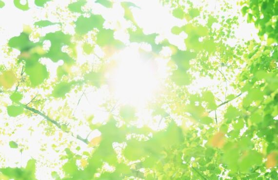 えん接骨院ではコロナウイルス対策に取り組んでおります。